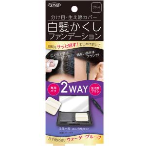 白髪かくしコンパクトN ジラミンが入っておらず地...の商品画像