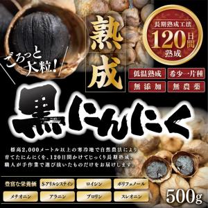 黒ニンニク 訳あり 120日 低温熟成 特大粒...の詳細画像1