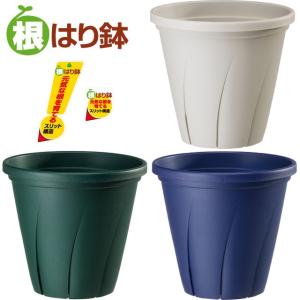 植木鉢 根はり鉢 10号 プラ鉢の商品画像