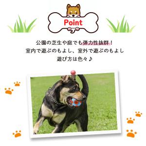 犬 噛むおもちゃ ボール 歯磨き はみがき 犬...の詳細画像2