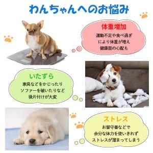 犬 噛むおもちゃ ボール 歯磨き はみがき 犬...の詳細画像1