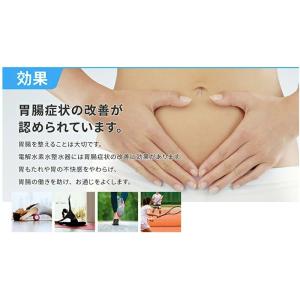 日本トリム 電解水素水生成器 トリムイオン リ...の詳細画像2