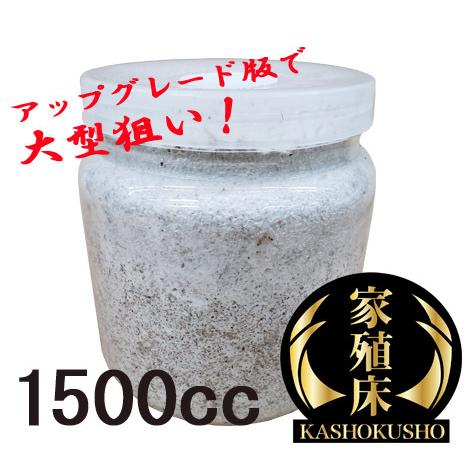 家殖床金 菌糸ボトル 1500cc 【かしょくしょうゴールド きんしびん 高品質 高濃度 菌糸ビン ...