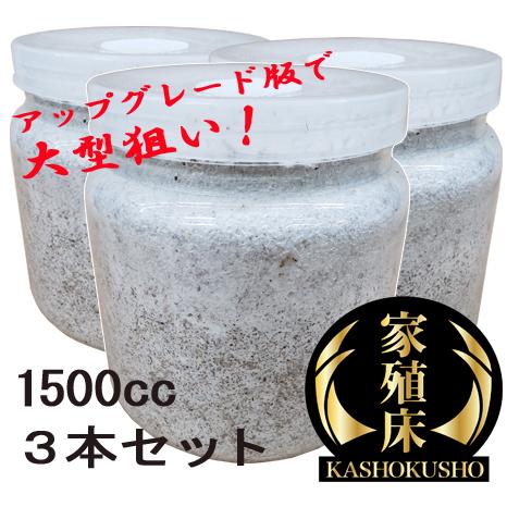 家殖床金 菌糸ボトル 1500cc お得３本セット【かしょくしょうゴールド きんしびん 高品質 高濃...
