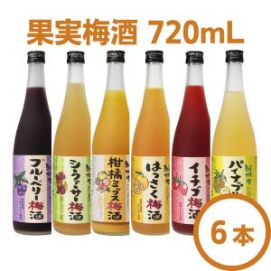 果実酒 720mL（6本セット） 和歌山県産 梅酒 ギフト 贈答 まとめ買い 中野BC｜yorozuyasan