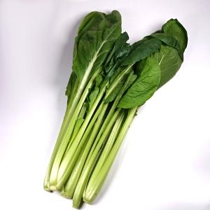 日常の一般野菜 小松菜 こまつ菜 1袋 : 食品のネットスーパー・さん