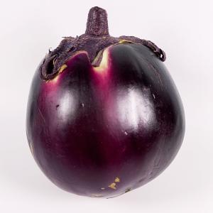 【GI認証】京の伝統野菜「京賀茂なす」 1個 (400〜500g) 京都産