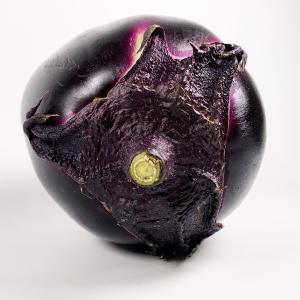 【GI認証】京の伝統野菜「京賀茂なす」 1個 ...の詳細画像1