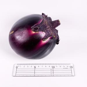 【GI認証】京の伝統野菜「京賀茂なす」 1個 ...の詳細画像2