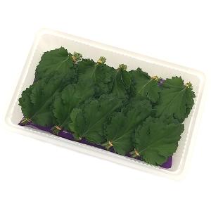 菊の葉 Www Celltronics Lk Index Php