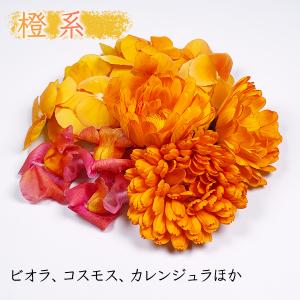 色が選べる食用花 エディブルフラワー 愛知県産の詳細画像5