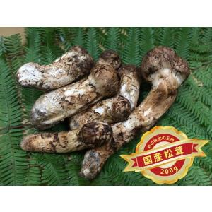 国産松茸 まつたけ マツタケ 約200ｇ スダチ２個付き