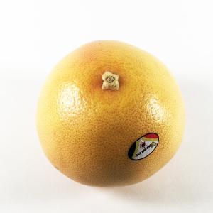 ピンクグレープフルーツ　ルビー・ルージュ