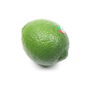 輸入ライム　４４玉サイズ