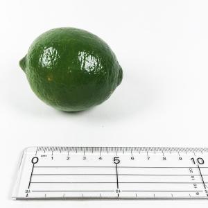 ノンケミライムの詳細画像2