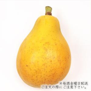 フィリピンパパイヤ