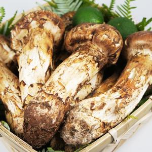 松茸 まつたけ 中国産 500グラム 特別贈答...の詳細画像2