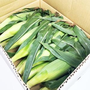 とうもろこし 箱売りの詳細画像1
