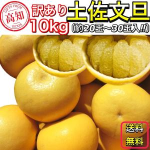 文旦 土佐文旦 10kg サイズお任せ (約2...の詳細画像2