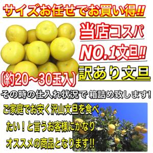 文旦 土佐文旦 10kg サイズお任せ (約2...の詳細画像3