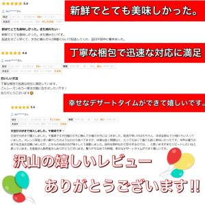 訳あり 文旦 大玉限定 土佐文旦 4L 3L ...の詳細画像3