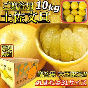 《贈答用》 土佐文旦 高知県産 文旦 大玉 4L または 3L 10kg ぶんたん 露地土佐文旦 10キロ 【◆贈答用１０キロ◆　４Lまたは３L 土佐文旦】