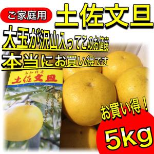 文旦 土佐文旦 5kg 大玉 4L 3L 混合...の詳細画像3