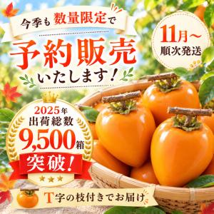 柿 あたご柿 干し柿渋柿 約 10kg 大玉限...の詳細画像1