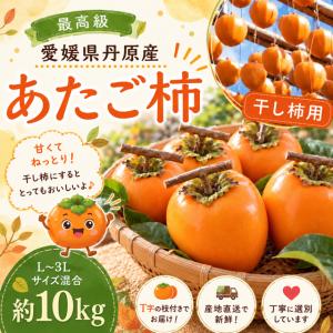 柿 あたご柿 干し柿渋柿 約 10kg 大玉限...の詳細画像2