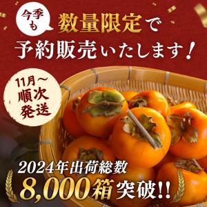 柿 あたご柿 干し柿渋柿 約 20kg 大玉限...の詳細画像1