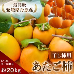 柿 あたご柿 干し柿渋柿 約 20kg 大玉限...の詳細画像2