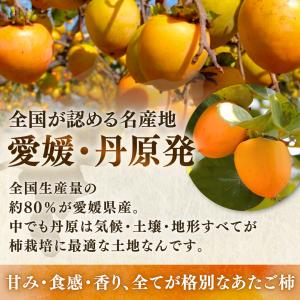 柿 あたご柿 干し柿渋柿 約 20kg 大玉限...の詳細画像3