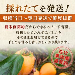 柿 あたご柿 干し柿渋柿 約 20kg 大玉限...の詳細画像5