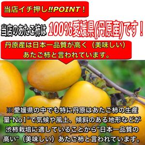 訳あり あたご柿 (キズ・スレ・ヤケ・ヘタスキ...の詳細画像1