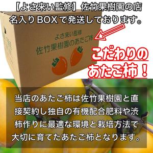 訳あり あたご柿 (キズ・スレ・ヤケ・ヘタスキ...の詳細画像3
