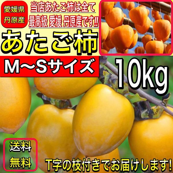 柿 かき あたご柿 (愛宕柿) 愛媛県 丹原産 干し柿 用 渋柿  約 10kg (M〜Sサイズ) ...