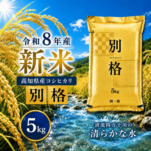 米 令和8年産 新米 5kg お米 高知県産 【 コシヒカリ 別格  5キロ 】令和8年 白米 奥四...