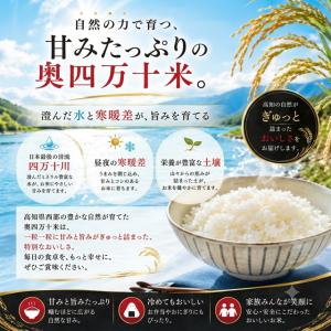 米 令和8年産 予約 新米 お米 10kg (...の詳細画像3