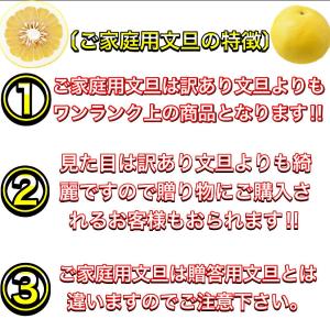 文旦 土佐文旦 大玉限定 4L 3L 混合 1...の詳細画像3