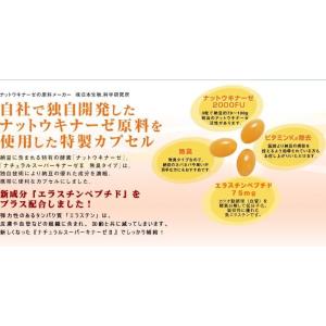 日本生物科学研究所 日研 ナチュラルスーパーキ...の詳細画像1