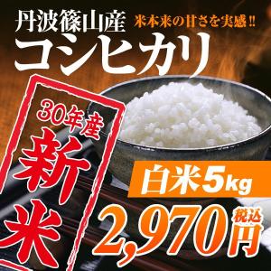 29年新米 コシヒカリ 5kg 丹波篠山産