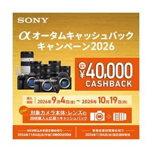 キャンペーン対象 即納在庫あり SONY デジ...の詳細画像5