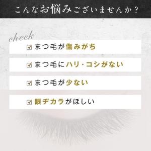 【正規品判定QRコードあり】ラッシュアディクト...の詳細画像1