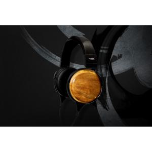 FOSTEX TH810 密閉型プレミアム・ヘ...の詳細画像2