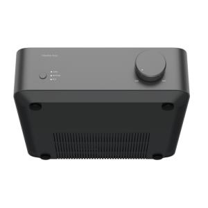 WiiM WiiM Vibelink Amp ...の詳細画像3