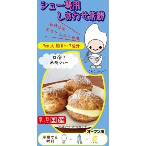 米粉 シュークリーム 生地専用粉 120g グルテンフリー
