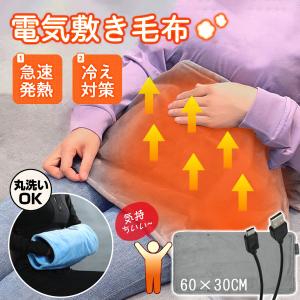 Panasonic（パナソニック） 【在庫あり】パナソニック 電気ひざかけDC