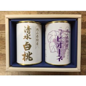 金槍固元湯（150g/30包）2個セット※固本培元湯（こもとばいげんたん