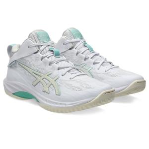 ASICS アシックス GELHOOP V17 ゲルフープ STANDARD 1063A096