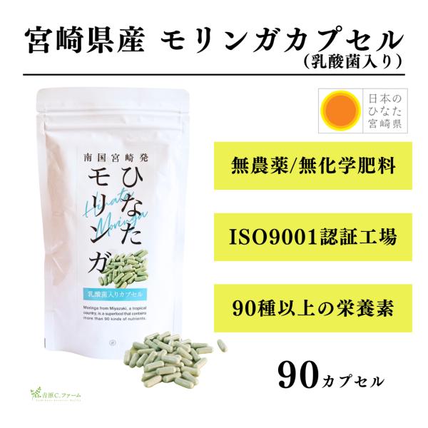 モリンガパウダー 国産 カプセル 90粒 乳酸菌入 無農薬 宮崎県産 オーガニック お試し 有機JA...